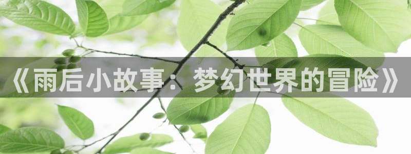 美妙天堂动漫在线观看动漫完整版：《雨后小故事：梦幻世界的冒险》