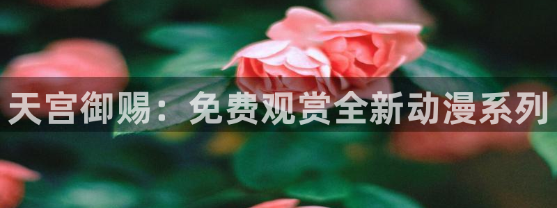 动漫天堂免费在线观看：天宫御赐：免费观赏全新动漫系列