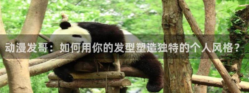梦天堂动漫：动漫发哥：如何用你的发型塑造独特的个人风格？