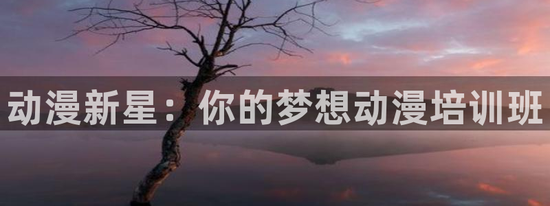 天堂动漫网页：动漫新星：你的梦想动漫培训班